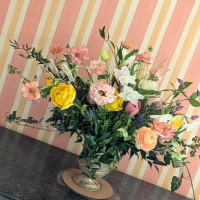 Jubilejní sezóna začíná už 1. března!