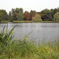 Velký rybník v zámeckém parku