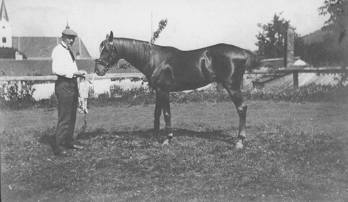 Každodenní život Františka Josefa II. Silva-Taroucy a jeho rodiny v první polovině 20. století, článek Petra Steinera